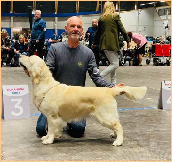 Et bilde som inneholder person, innendørs, pattedyr, hund

Automatisk generert beskrivelse