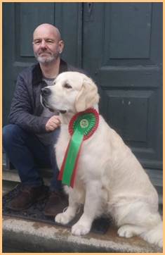 Et bilde som inneholder hund, sitter, person, kabinett

Automatisk generert beskrivelse