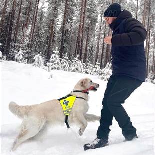 Et bilde som inneholder hund, utendørs, snø, tre

Automatisk generert beskrivelse