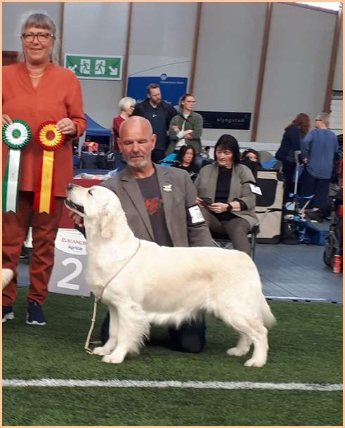 Et bilde som inneholder hund, person, pattedyr

Automatisk generert beskrivelse