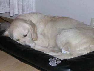 DSCN4506