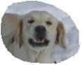 ˘Ĭ